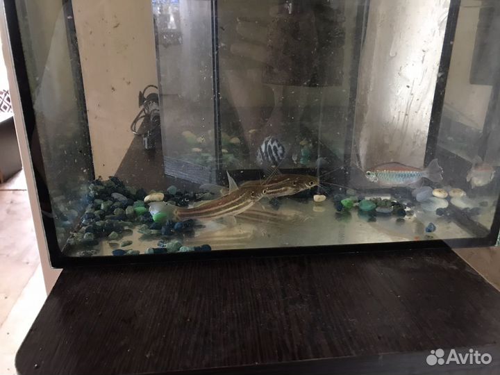 Отдаём рыбак