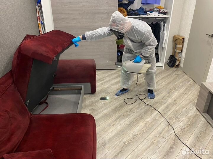 Уничтожение борщевика тараканов клещей Дезинфекция