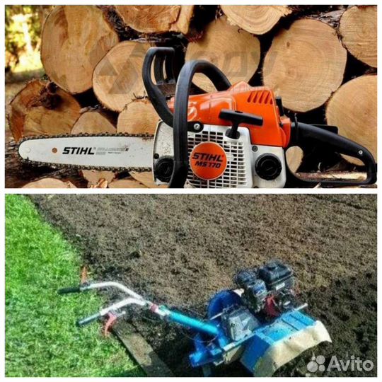 Спил деревьев