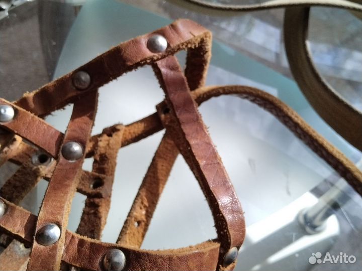 Намордник и строгий ошейник для собак