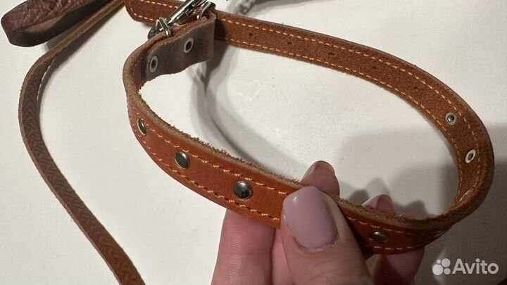 Ошейник для собак с поводком