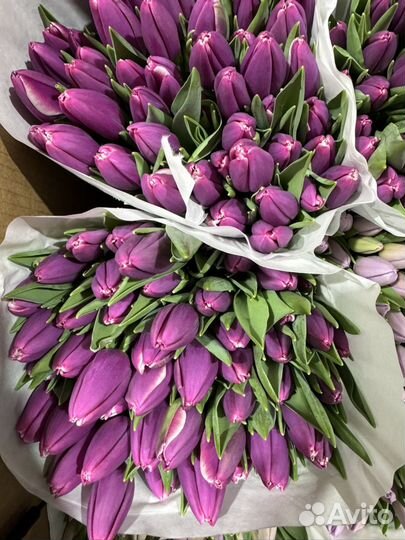 Тюльпаны на 8 марта букет