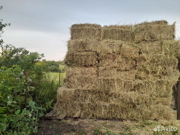 Продам сено в тюках