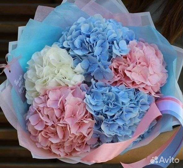 Гортензия с Доставкой до двери