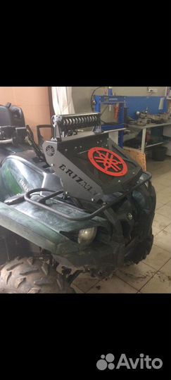 Вынос Гризли