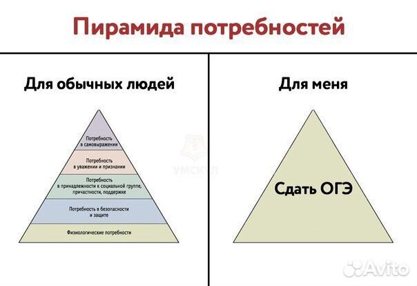 Репетитор по обществознанию огэ