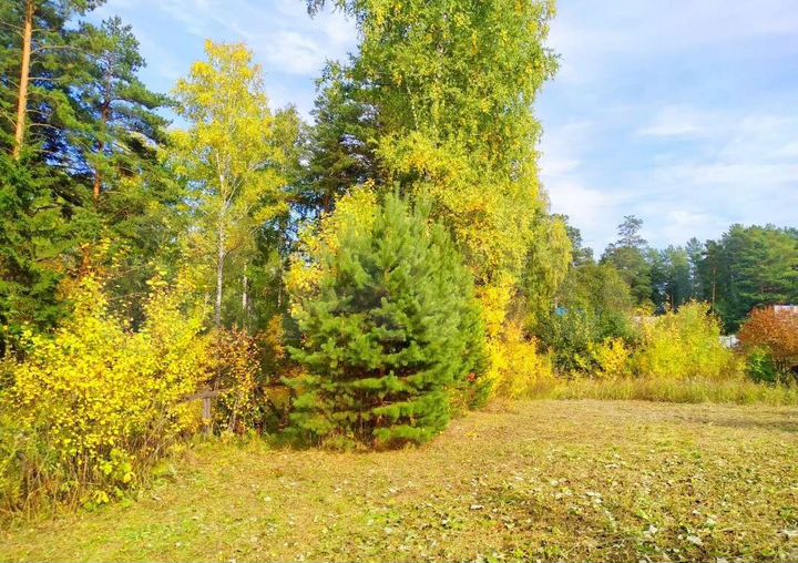 Участок 7,2 сот. (СНТ, ДНП)