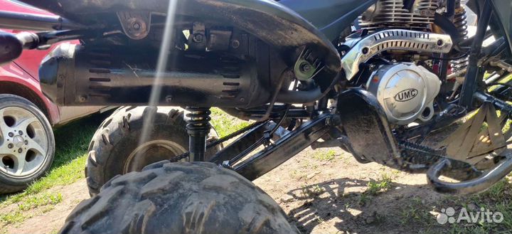 Patron scaner 250, Злой зверь, обмен