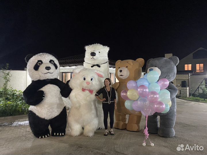 Аэромедведи, гигантские мишки, ростовые фигуры