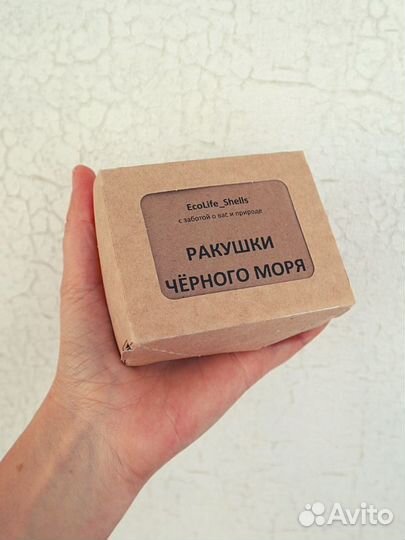 Морские ракушки для творчества