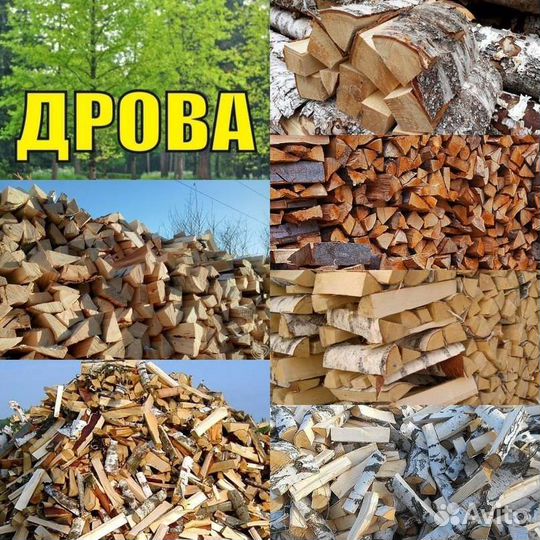Дрова колотые и чурками