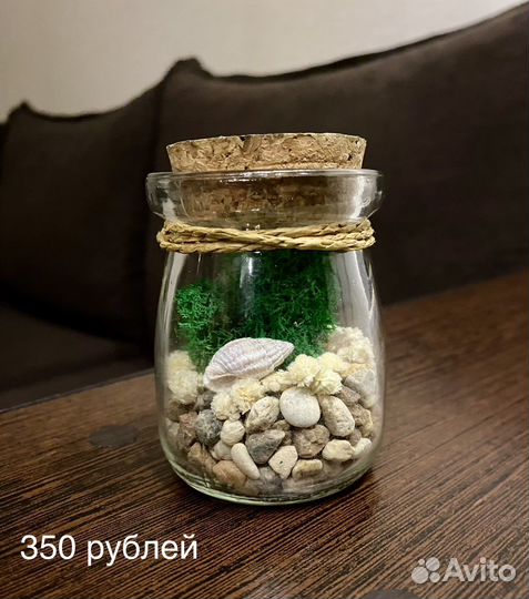 Флорариум с мхом