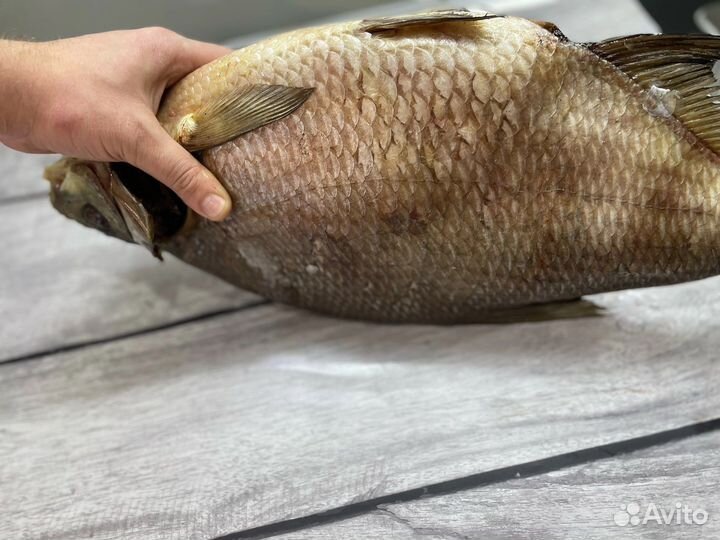 Крупный лещ. Рыба оптом. Ассортимент