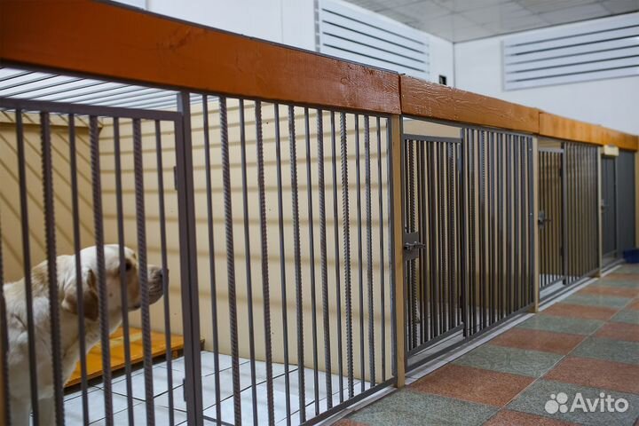 Гостиница для животных 