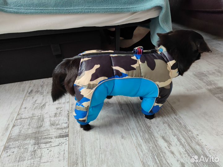 Зимний комбинезон для собаки мелких пород