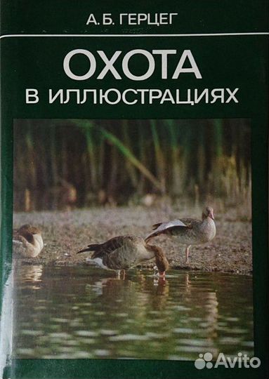Охота в иллюстрациях. А.Б.Герцег, 1987 г