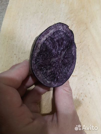 Семенной картофель