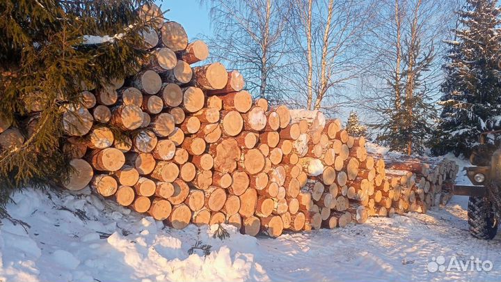 Пиловочник хвойный