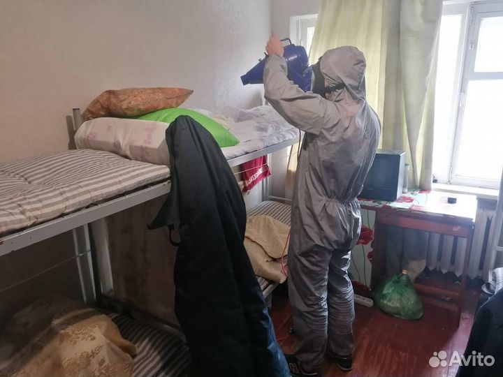 Дезинфекция тараканов, клопов, блох, клещей, мышей