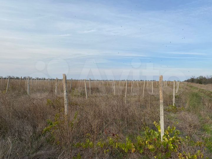 Участок 5,4 га (СНТ, ДНП)