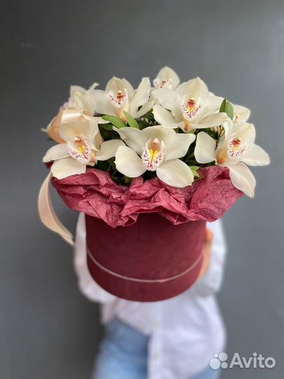 Букет из Орхидей с доставкой