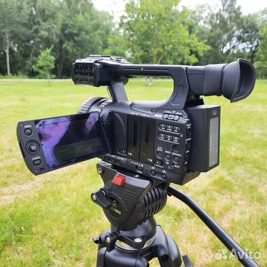 Профессиональная видеокамера Canon XF100