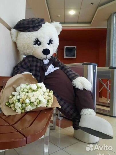 Живая открытка, Сюрприз, Мишка Тедди, Поздравление