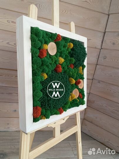 Панно картина из стабилизированного мха белая рама
