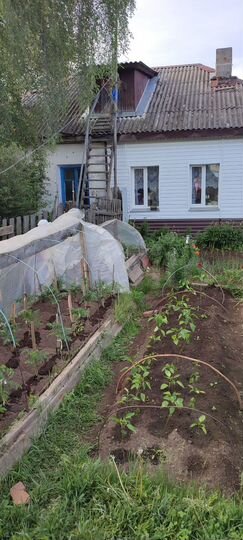 Дом 28 м² на участке 2,5 сот.