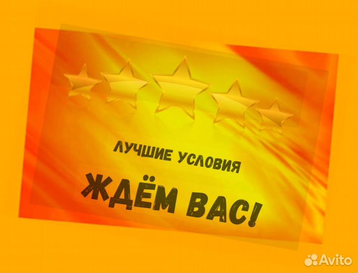 Оператор линии Без опыта Еженедельные выплаты