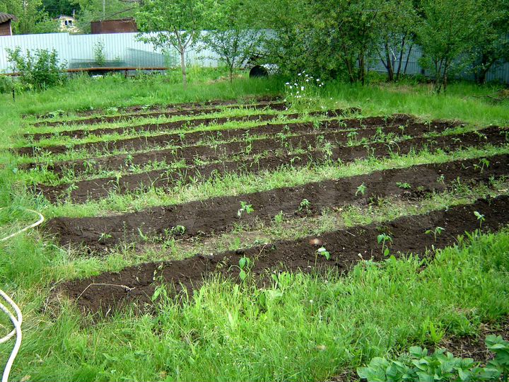 Дача 100 м² на участке 15 сот.