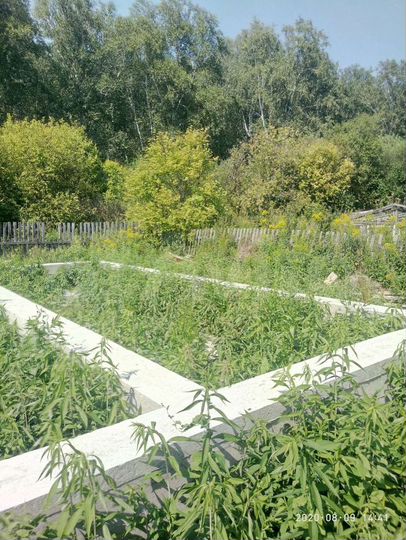 Участок 4 сот. (СНТ, ДНП)