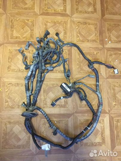 Коса проводки Hyundai Accent