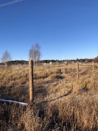 Участок 12 сот. (ИЖС)