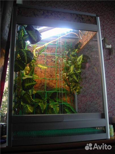 Оборудование для рептилий