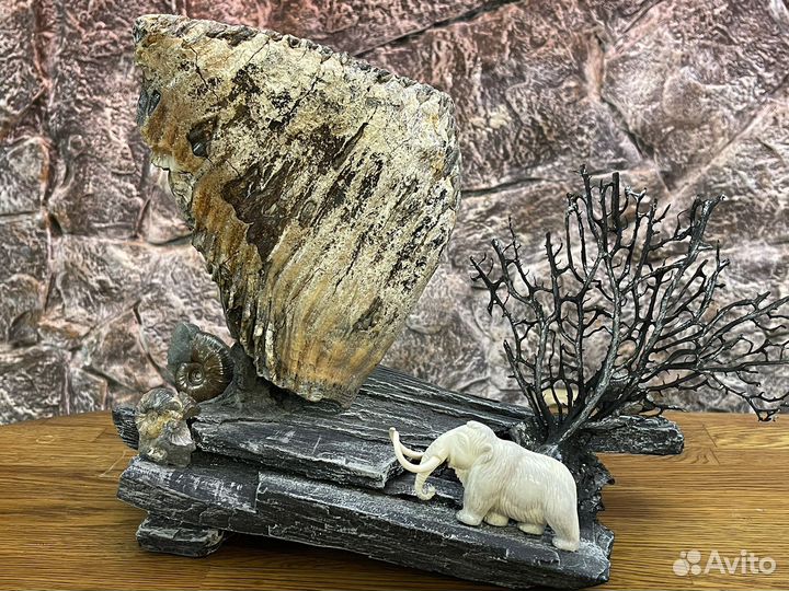 Палеонтология. Авторская работа. Зуб мамонта