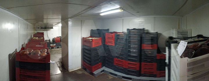 Пищевое Производство1000 м²