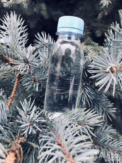 Пихтовое масло