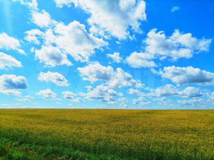 Участок 15 сот. (ИЖС)