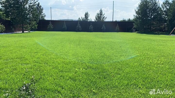 Спортивный газон. Футбольный газон
