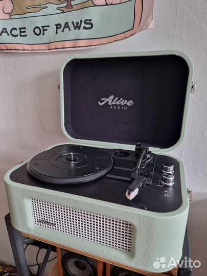 Виниловый проигрыватель Alive audio