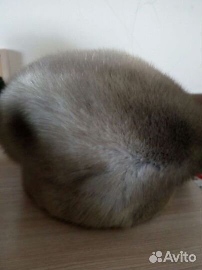 Шапка норковая