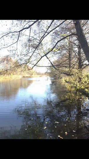 Участок 40 сот. (СНТ, ДНП)