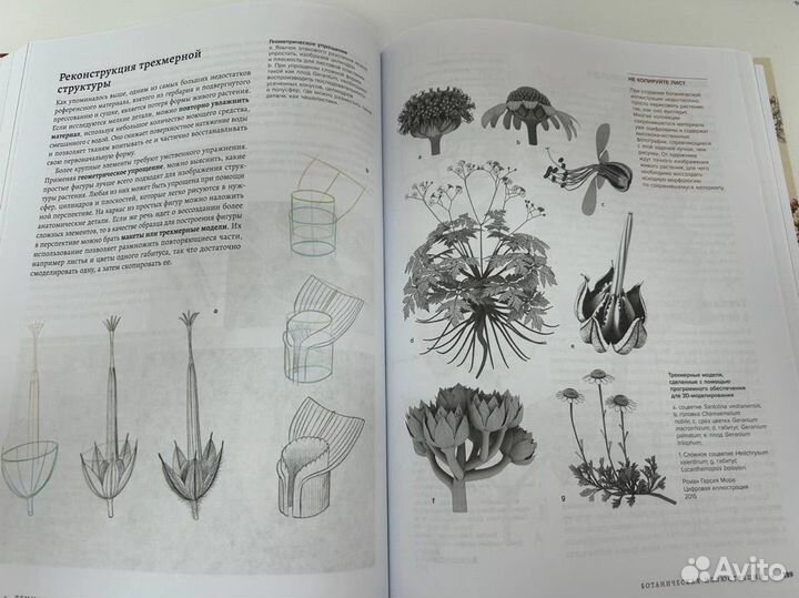 Профессия Научный иллюстратор книга