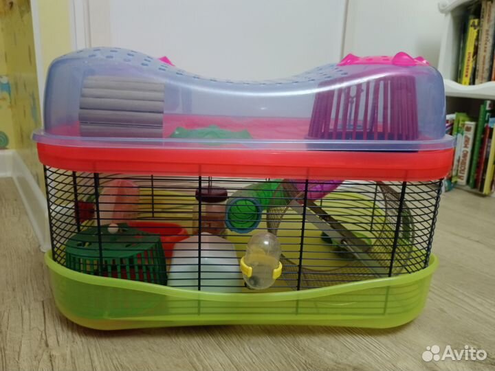 Клетка для хомяка со всем необходимым