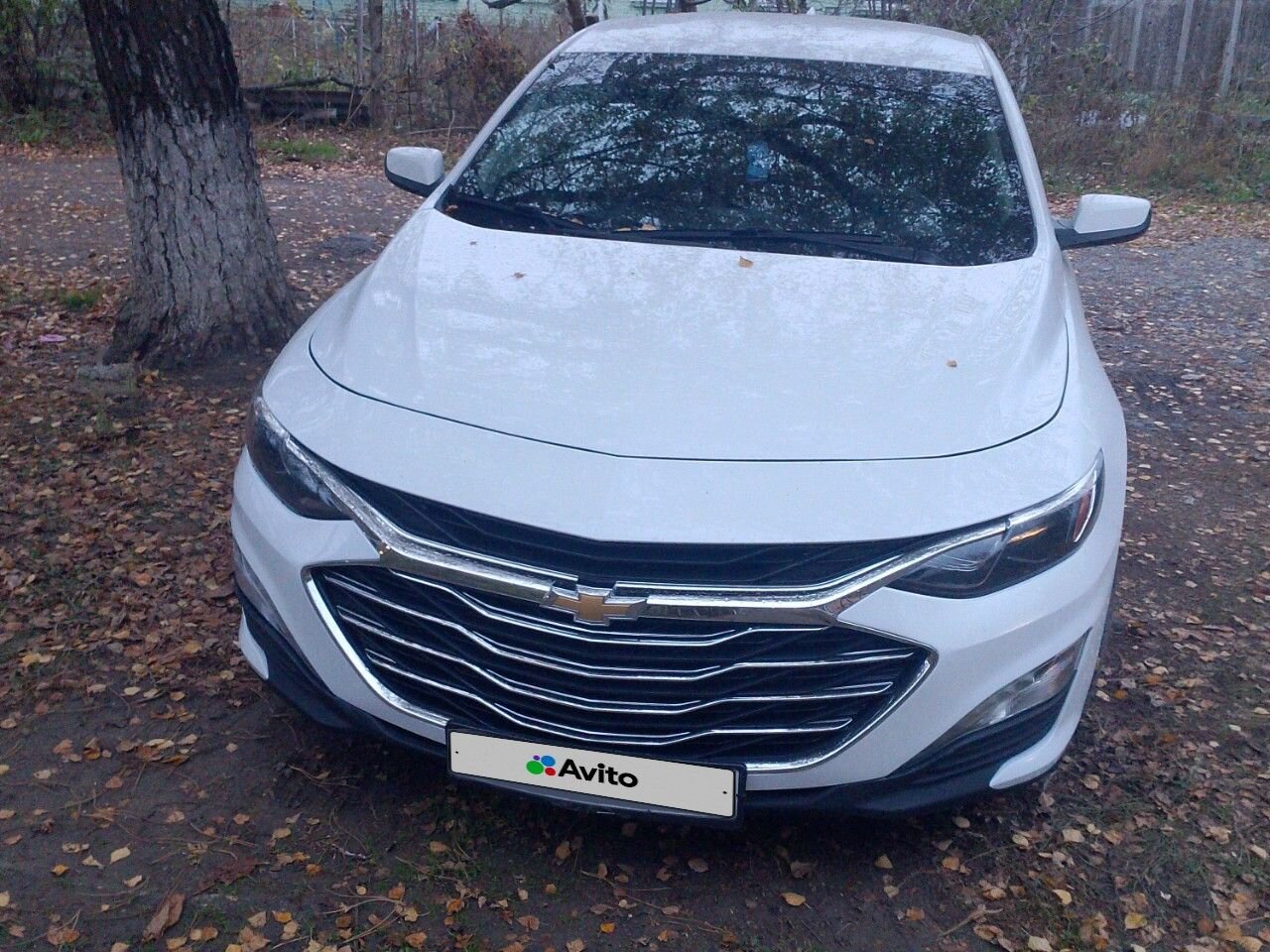 Chevrolet Malibu: фото владельца