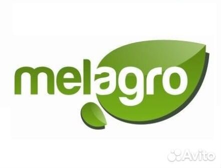 Помощник руководителя