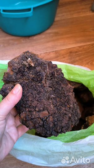 Березовый гриб чага 2.5 кг
