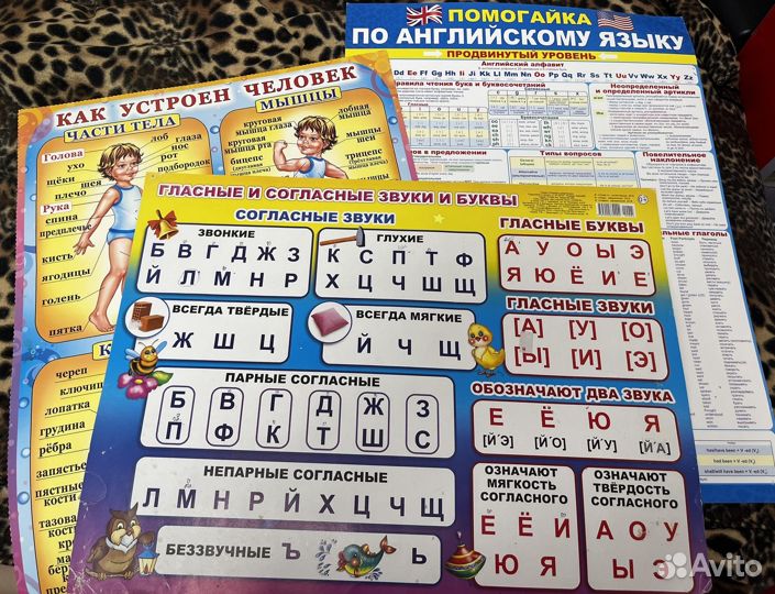 Плакаты для школы Разные