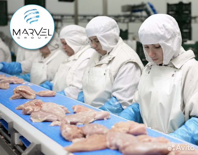 Оператор конвейерной линии\вахта